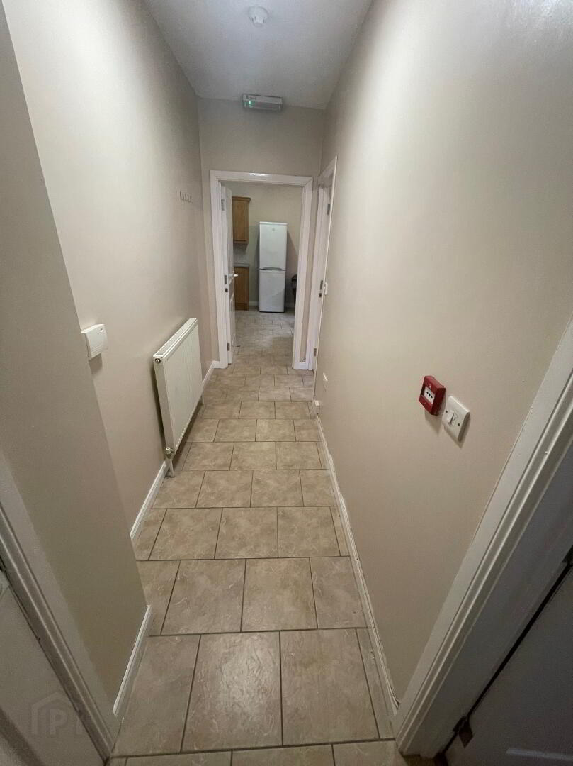 Apt 1 GREAT APARTMENT, 2c DUDLEY STREET 10 of 16